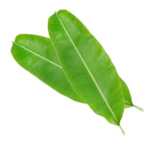 蕉葉 (公斤) Banana Leaves (kg)