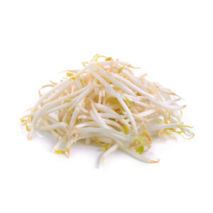 芽菜 (公斤) Bean Sprout (kg)
