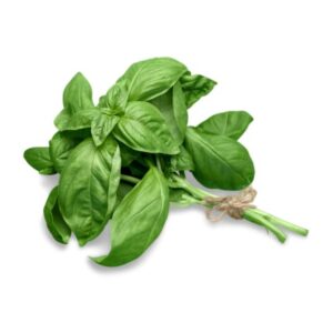 羅勒 (扎) Basil (bunch)