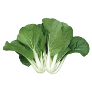 白菜仔 (公斤) Brassica Young (kg)