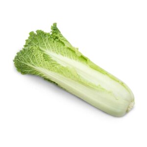 紹菜 (公斤) Cabbage-Chinese (kg)