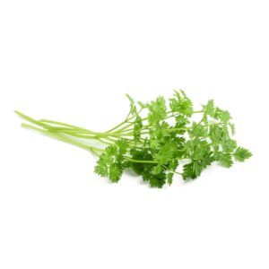 英國芫荽 40克 (扎) Chervil 40g (bunch)