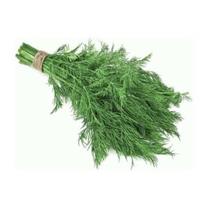 雕草 40克 (扎) Dill 40g (bunch)