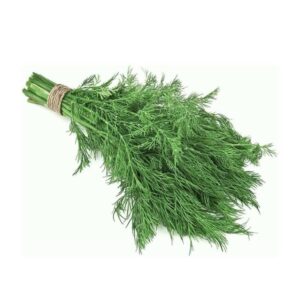 雕草 (公斤) Fresh Dill (kg)