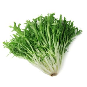 九芽菜 (公斤) Frisée (kg)
