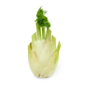 茴香 (公斤) Fennel (kg)
