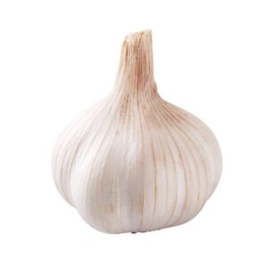 蒜頭 (公斤) Garlic-Whole (kg)