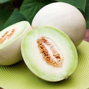 蜜瓜 (公斤) Honey Dew Melon (kg)
