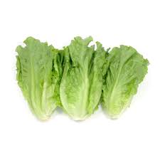 大利 (公斤) Green Leaf Lettuce (kg)