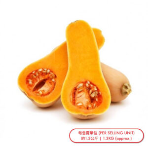 牛油南瓜 (個) Butternut Pumpkin (pc) - sold by Piece