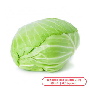 白椰菜 (棵) Cabbage-White (pc) - sold by Piece