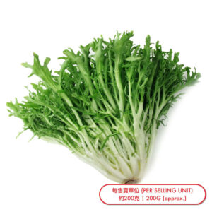 九芽菜 (棵) Frisée (pc) - sold by Piece