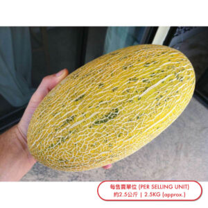 哈蜜瓜 (個) Hami Melon (pc) - sold by Piece