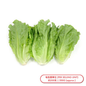 大利 (棵) Green Leaf Lettuce (pc) - sold by Piece