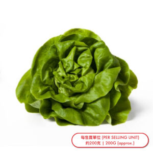 牛油生菜 (棵) Lettuce-Butter (pc) - sold by Piece