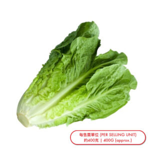 羅文生菜 (棵) Lettuce-Romaine (pc) - sold by Piece