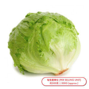 西生菜 (棵) Iceberg Lettuce (pc) - sold by Piece