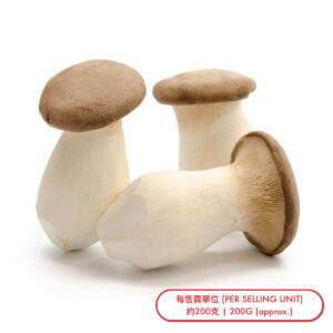 雞髀菇 (隻) Mushroom-Chicken Leg (pc) - sold by Piece