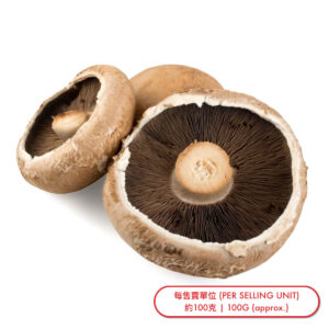 波特蘑菇 (隻) Mushroom-Portobello (pc) - sold by Piece