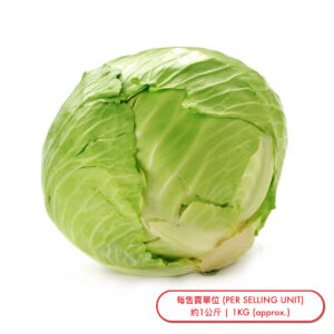 北京椰菜 (棵) Peking White Cabbage (pc) - sold by Piece