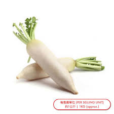 白羅白 (條) Turnip-White (pc) - sold by Piece