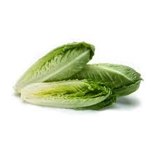 羅文生菜芯(公斤) Romain Heart (kg)