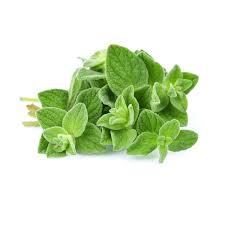 薄荷葉 (公斤) Mint (kg)