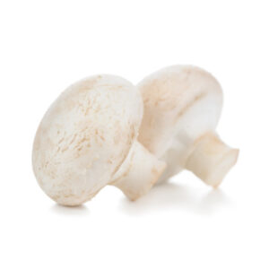 白菌 (公斤) Mushroom Button-White (kg)