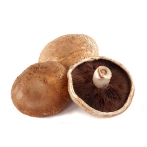 波特蘑菇 (公斤) Mushroom-Portobello (kg)