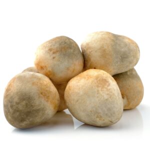 草菇 (公斤) Mushroom-Straw (kg)