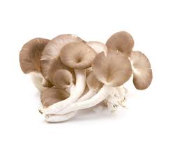 秀珍菇 (公斤) Oyster Mushroom-Small (kg)