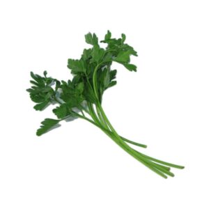意大利蕃茜 (公斤) Flat Leaf Parsley (kg)