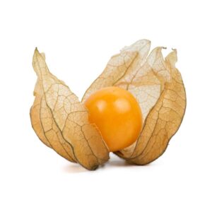 龍珠果 (包) Physalis (pkt)