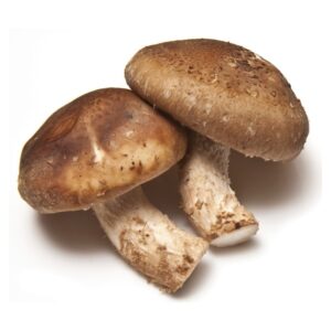 優質鮮冬菇 (公斤) Premium Shiitake Mushroom (kg)