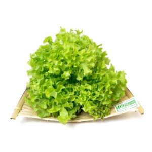 水耕沙律菜 (公斤) Hydroponic Salad Mix (kg)