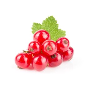 紅加侖子 (包) Red Currant (kg)