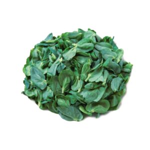 荳苗 (公斤) Spinach Ceylon (kg)