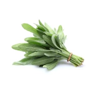 鼠尾草 40克 (扎) Sage 40g (bunch)