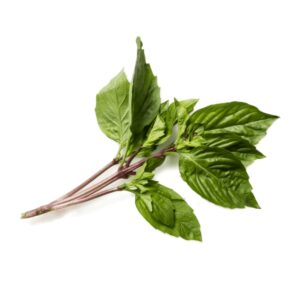 泰國金不換 (公斤) Thai Basil (kg)