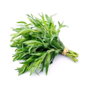 龍蒿 40克 (扎) Tarragon 40g (bunch)