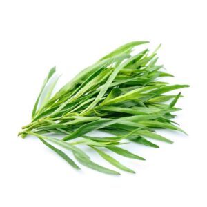 龍蒿 (公斤) Tarragon (kg)