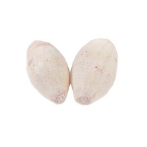 去皮芋頭肉 (公斤) Taro-Peeled (kg)